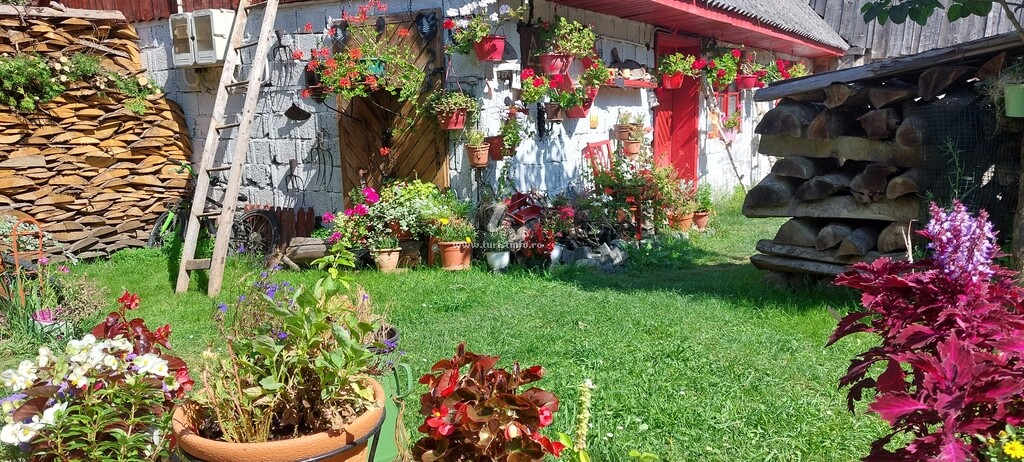 Casa cu Flori
