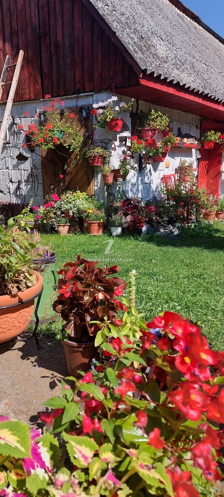 Casa cu Flori