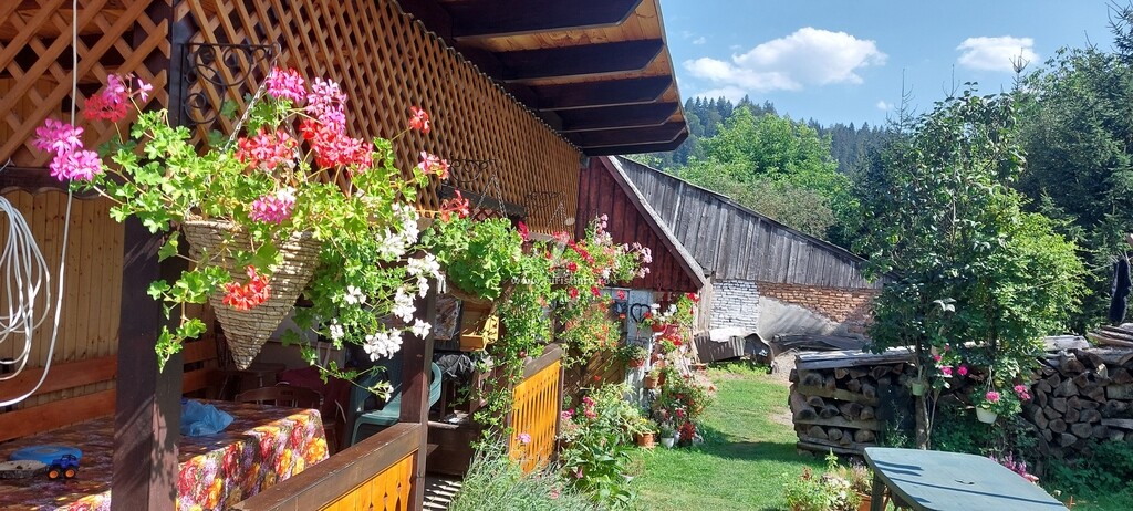 Casa cu Flori