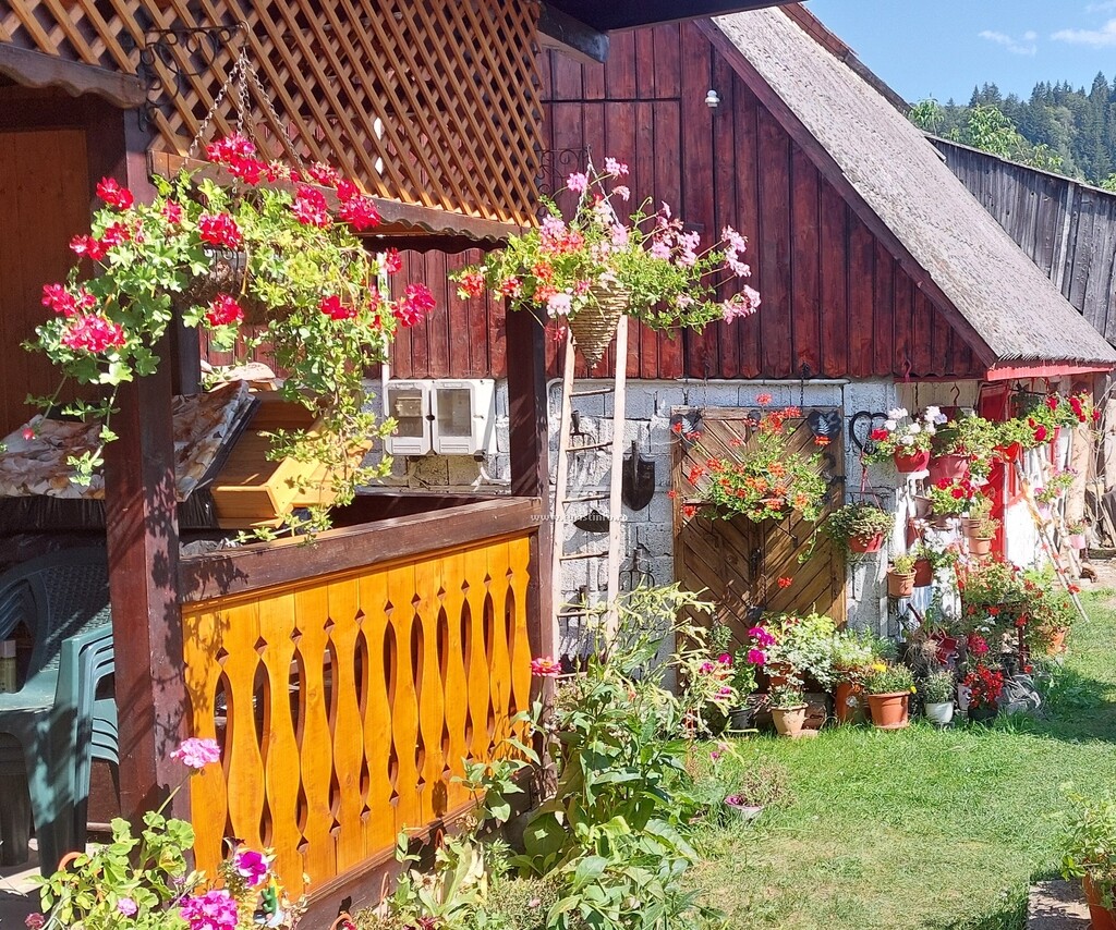 Casa cu Flori