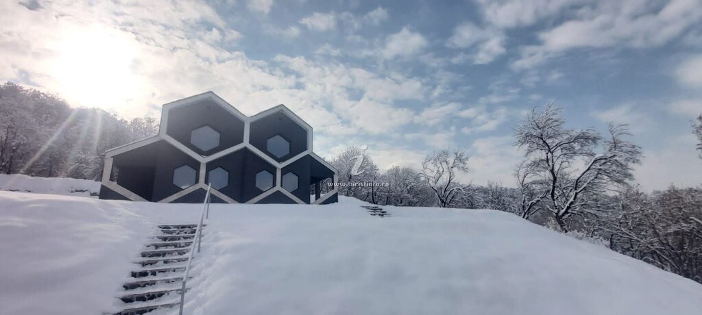 A-frame Propolis