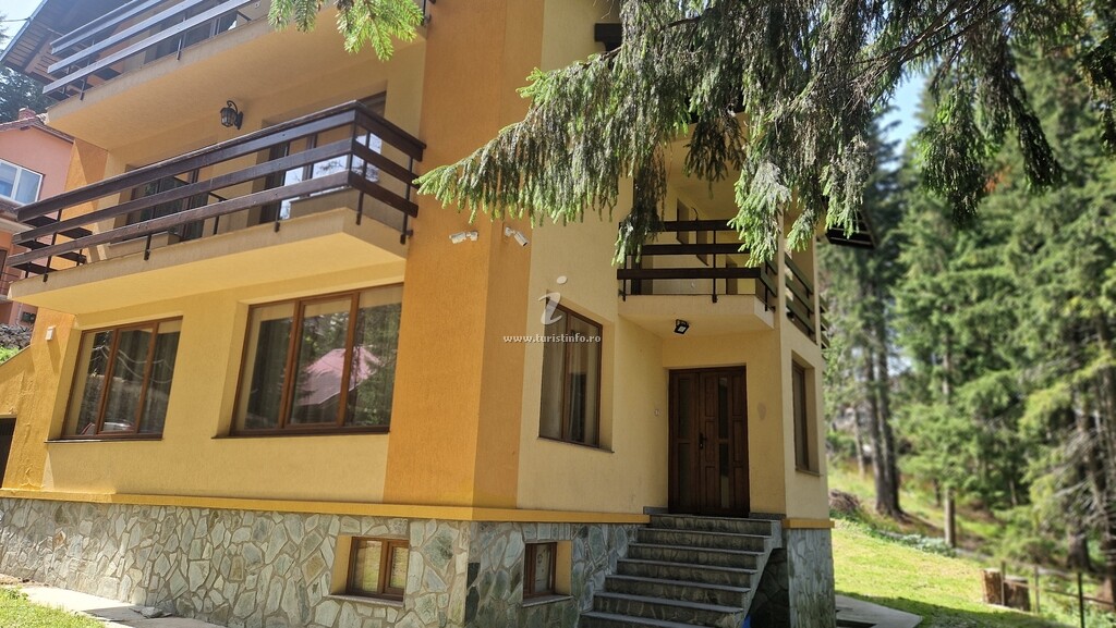 Camere de închiriat Sofia