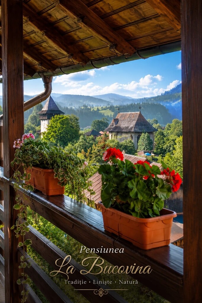 Camere de închiriat La Bucovina