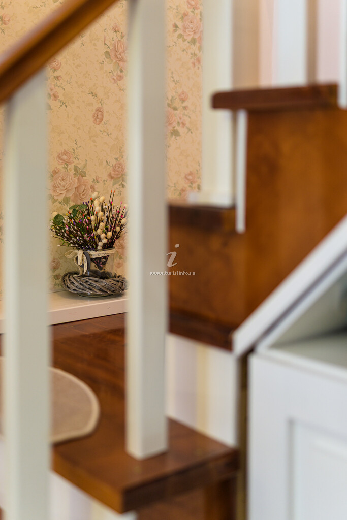 Apartament Brâncoveanu 41