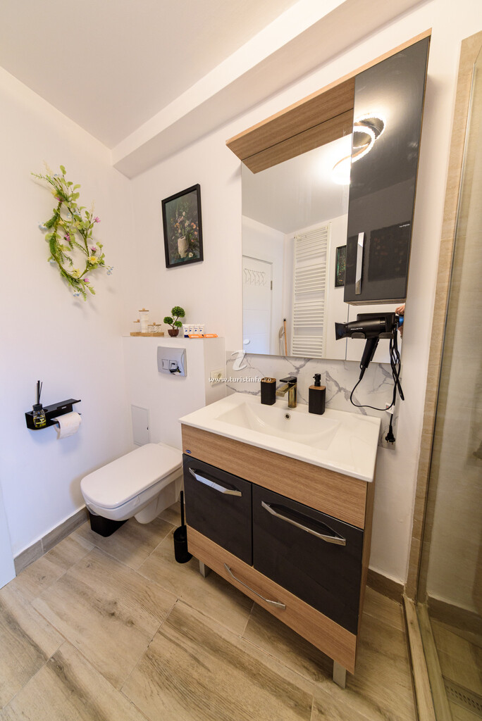 Apartament Brâncoveanu 41