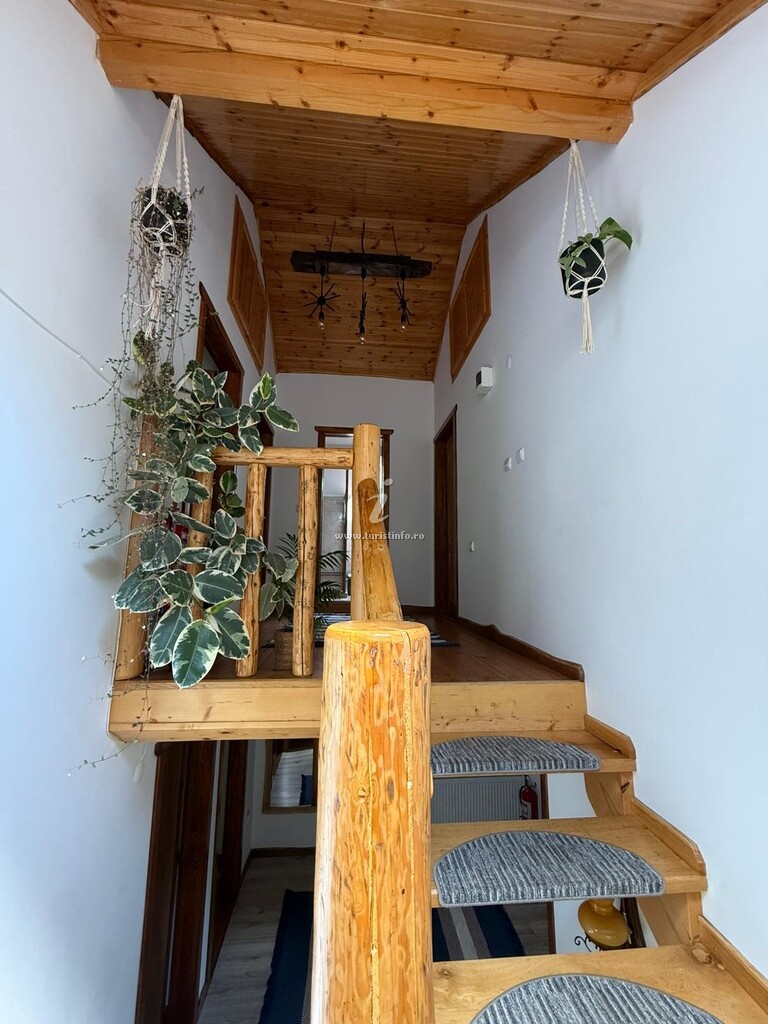 Casa Tâmplarului