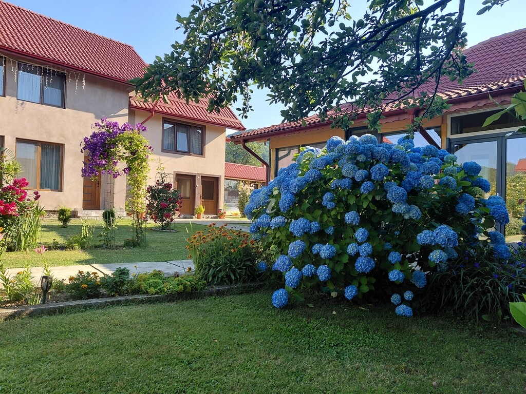 Casa Ștefi și Alecsia