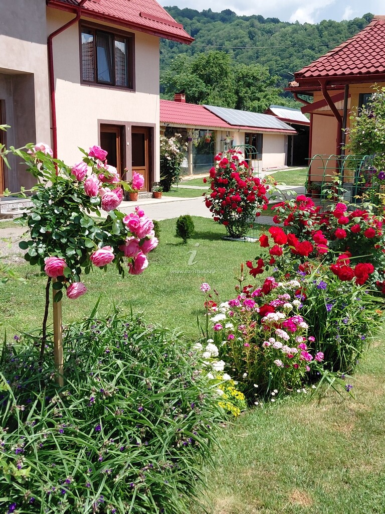 Casa Ștefi și Alecsia