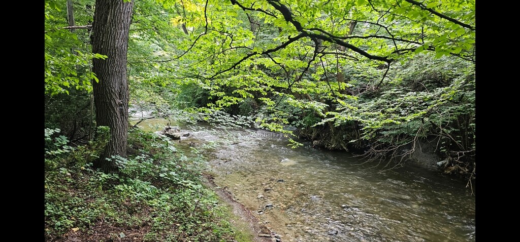 Valea Brândușelor