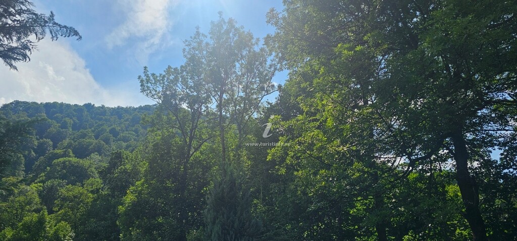 Valea Brândușelor