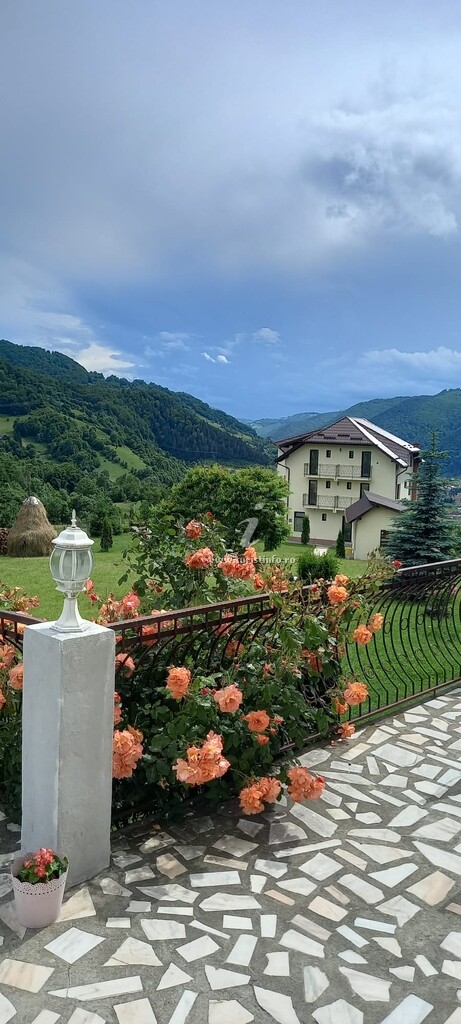 Vila Zorilor