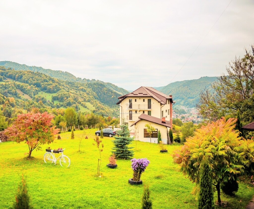 Vila Zorilor