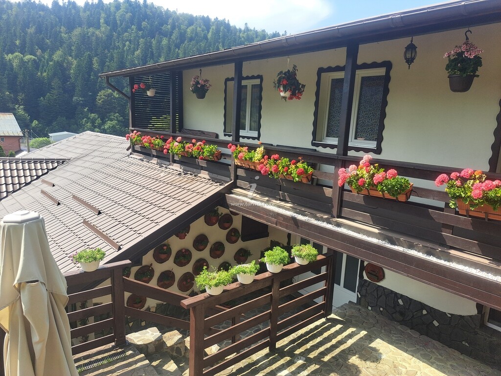 Casa 4 Anotimpuri