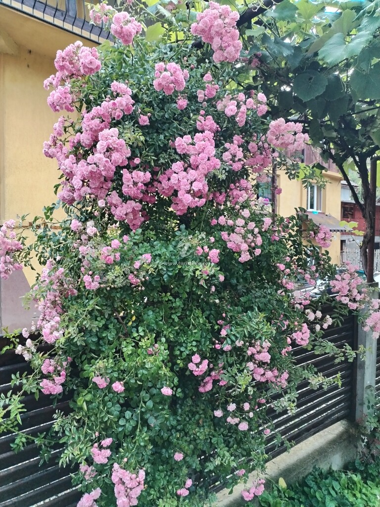 Casa Maria