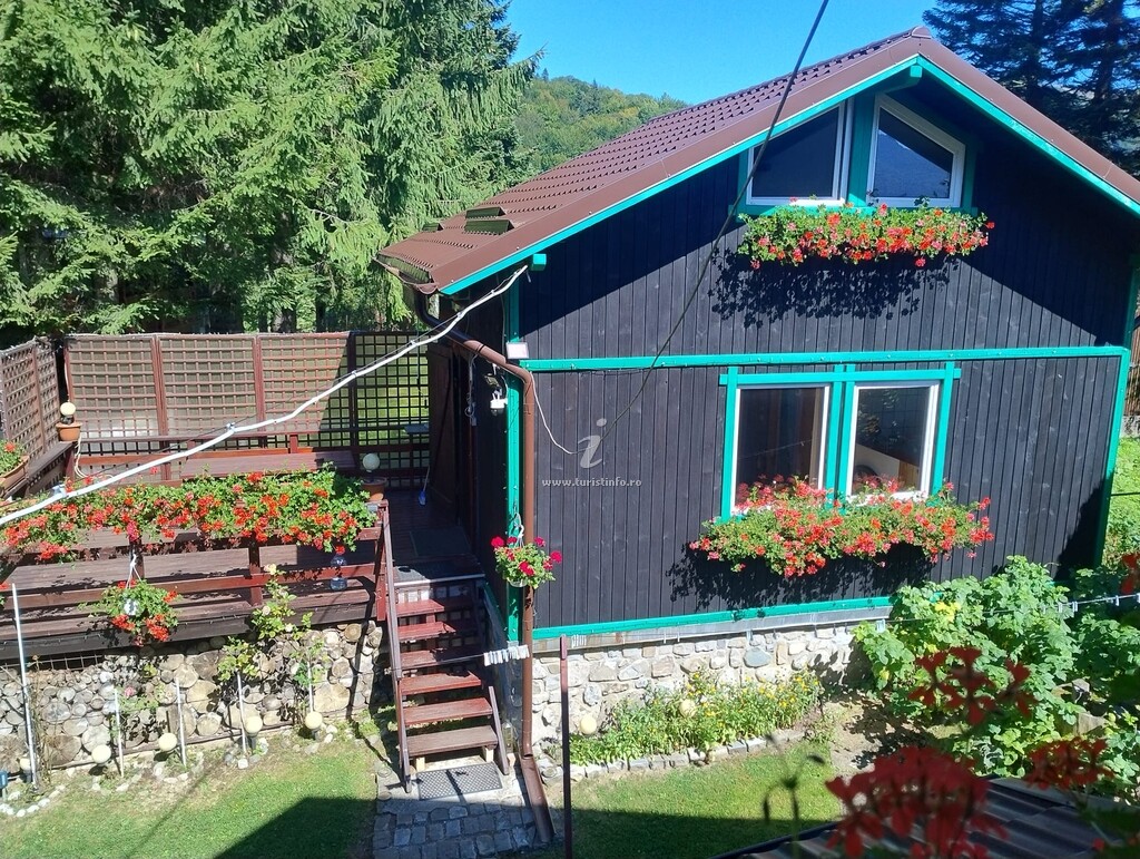 Camere de închiriat Casa Riciu