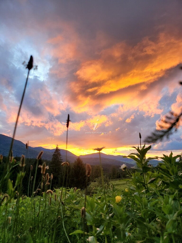 Căsuțe tip camping La Bunelu'
