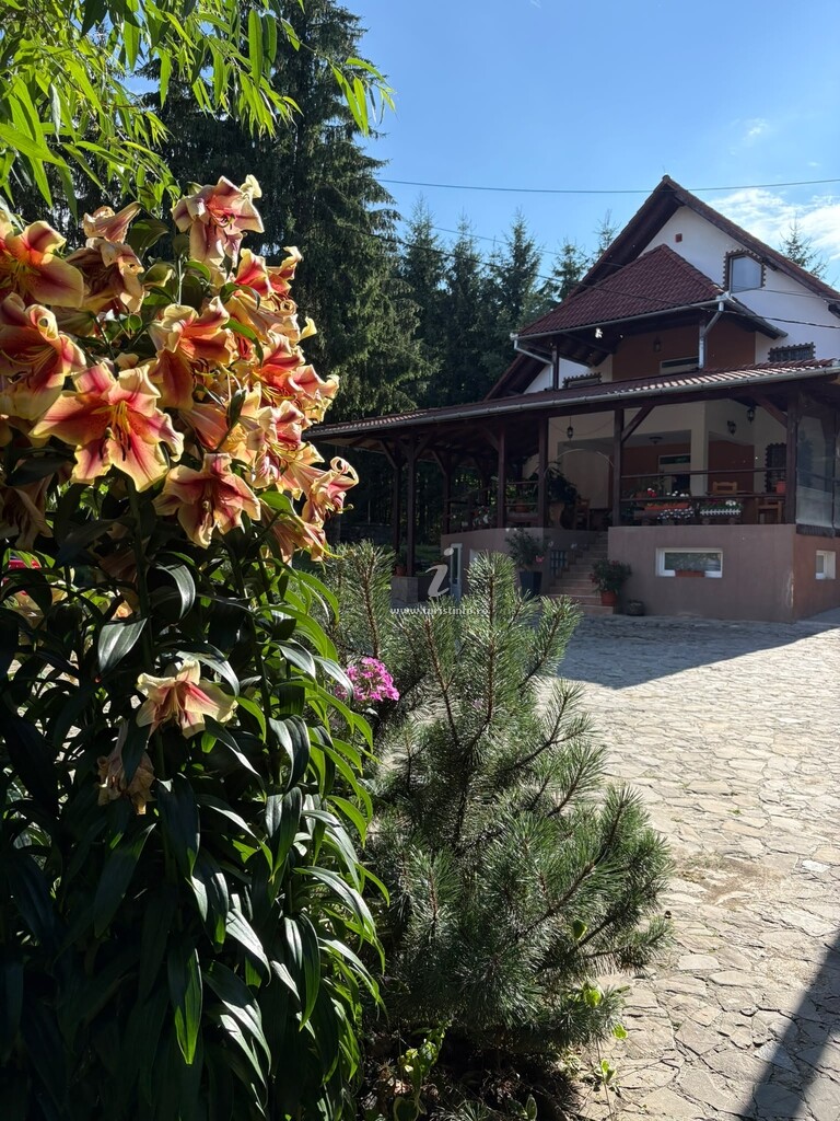Pensiunea Nicodora