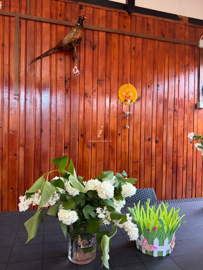 Cabana Chalet Rustique