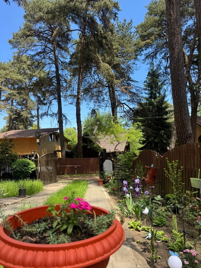 Cabana Chalet Rustique
