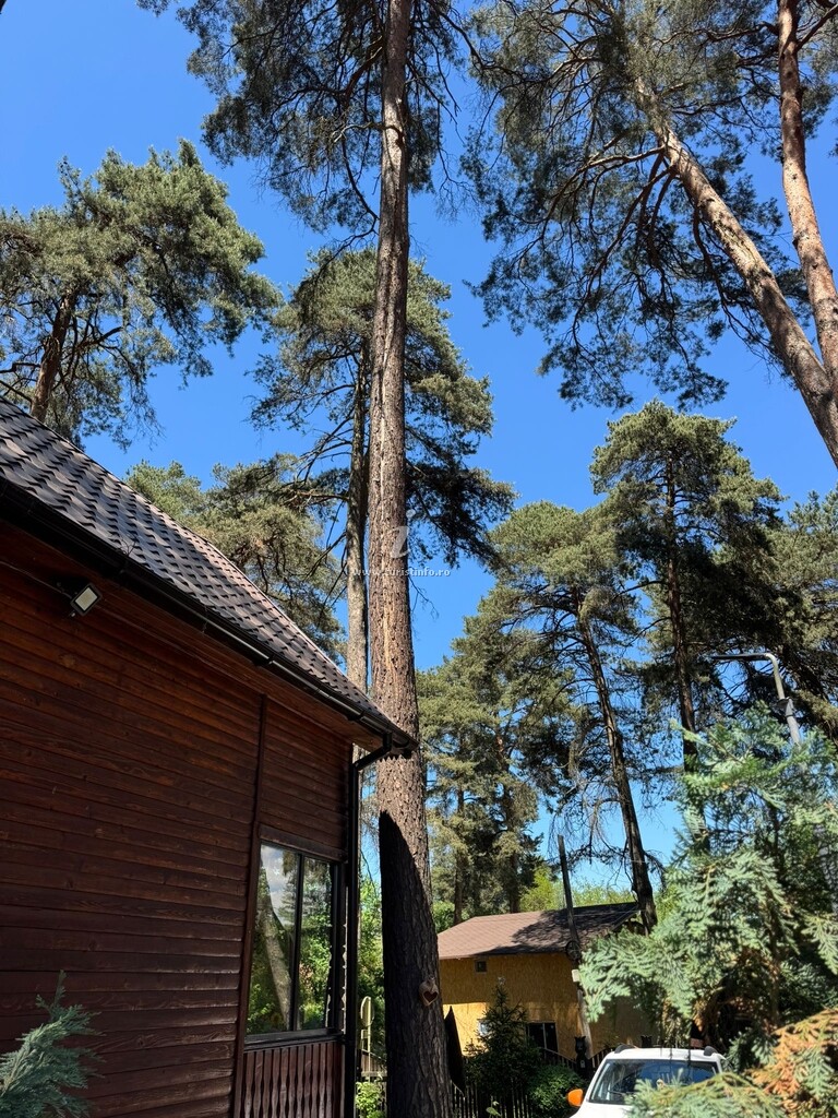 Cabana Chalet Rustique