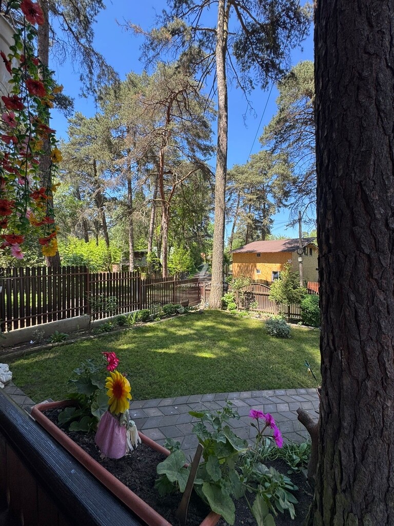 Cabana Chalet Rustique