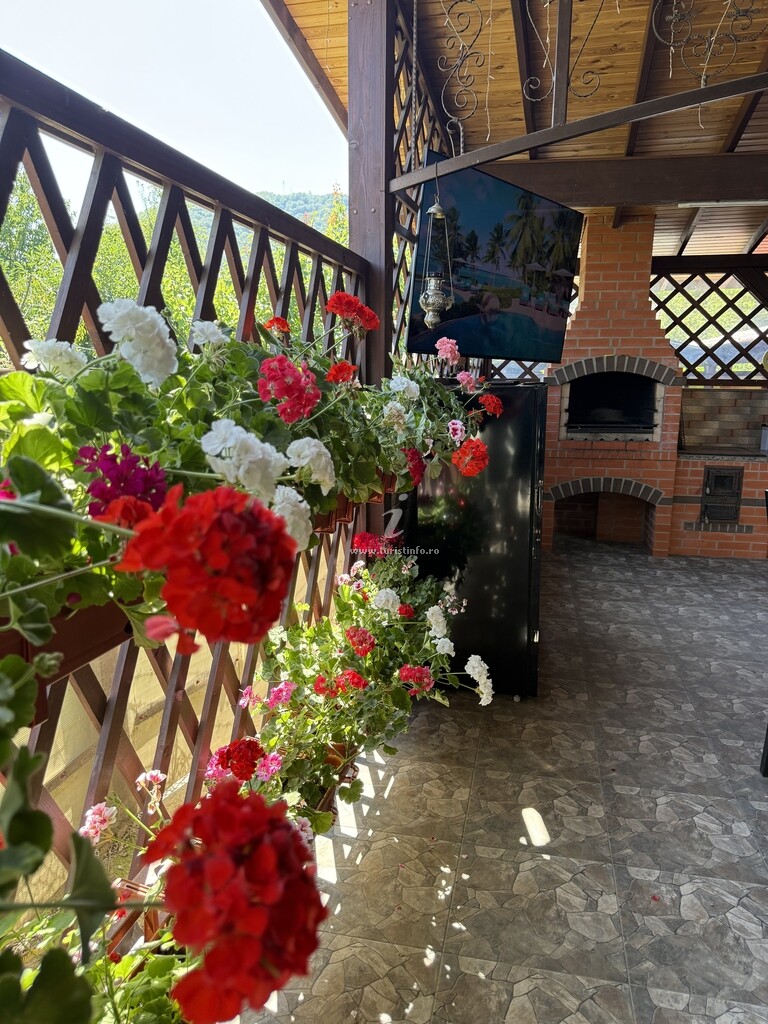 Vila Casa Tudor