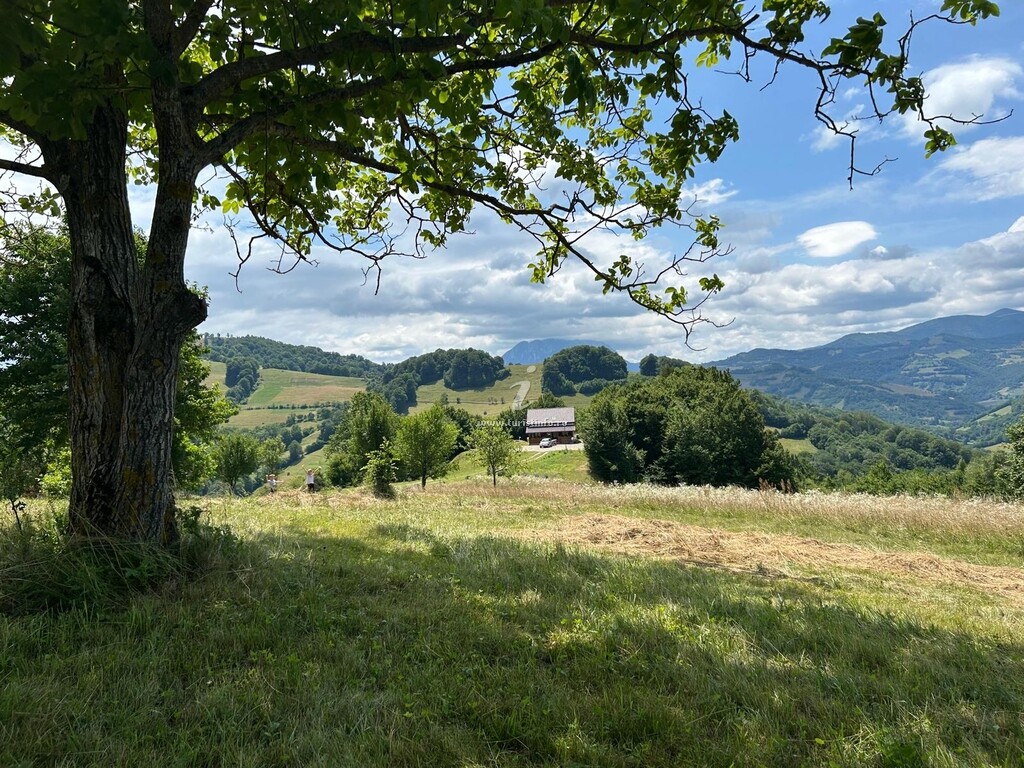 Căsuța din Povești