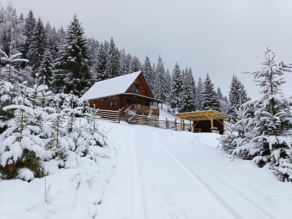 Cabana Norilor