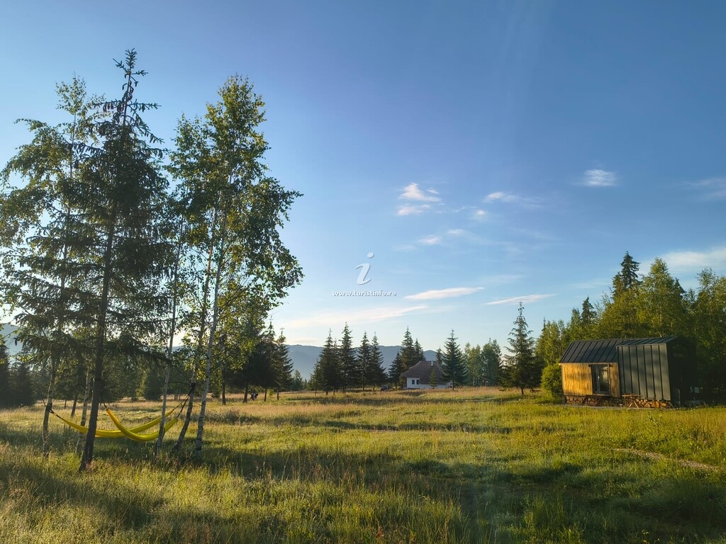 Bungalow-uri Wildkind Nature Retreat