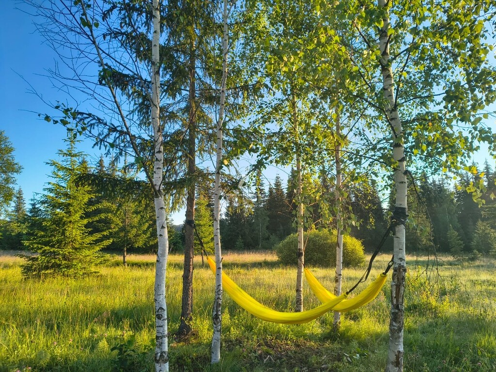 Bungalow-uri Wildkind Nature Retreat
