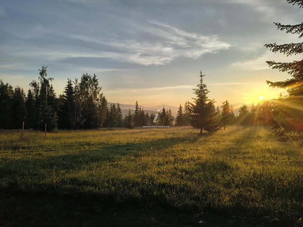 Bungalow-uri Wildkind Nature Retreat