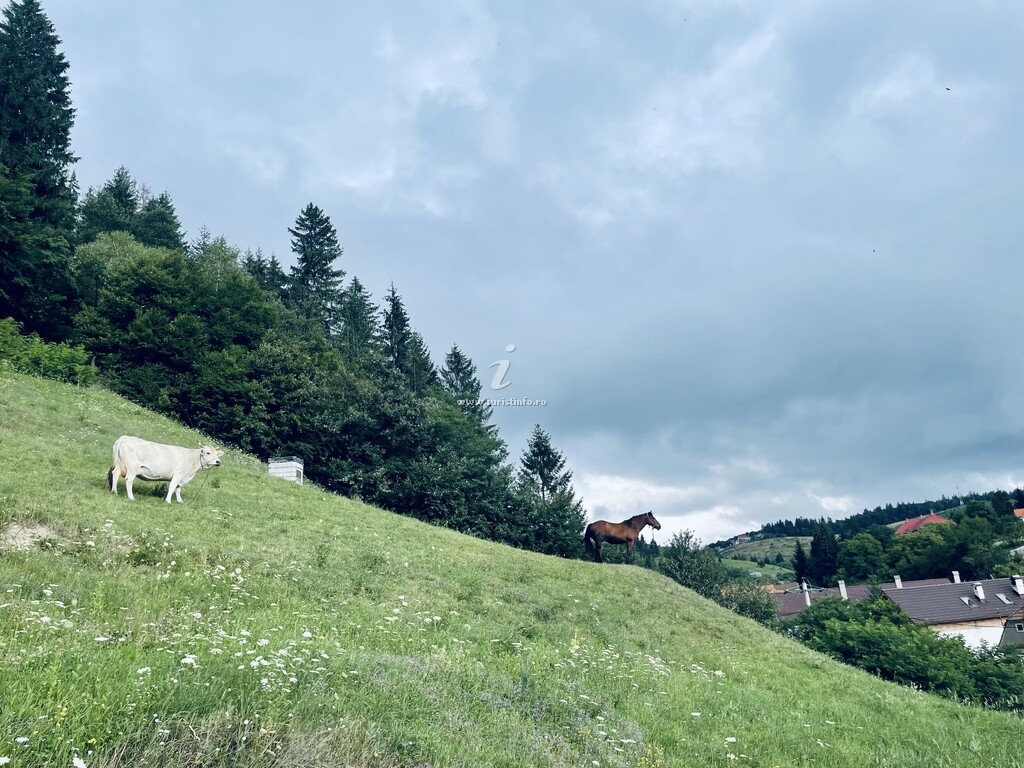 Casa Frățilă
