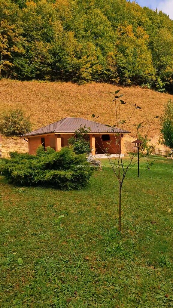 Cabana Valea Muntelui