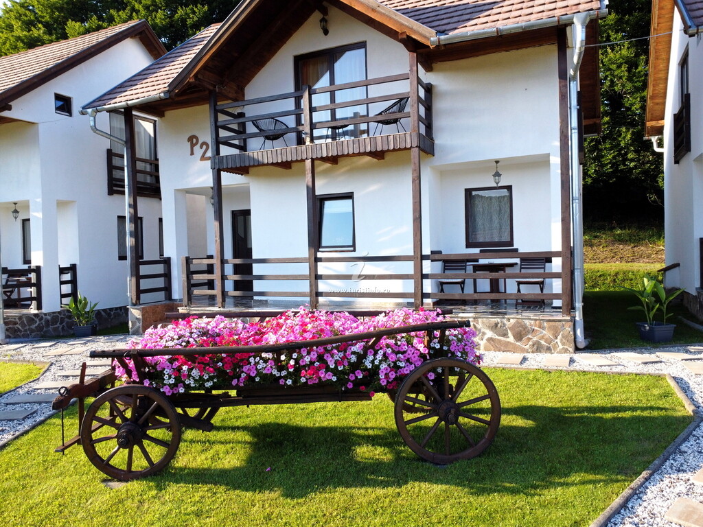 Pallos Retreat & Wellness