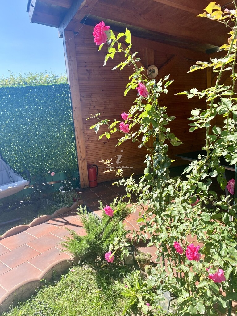 Apartament Suveranii