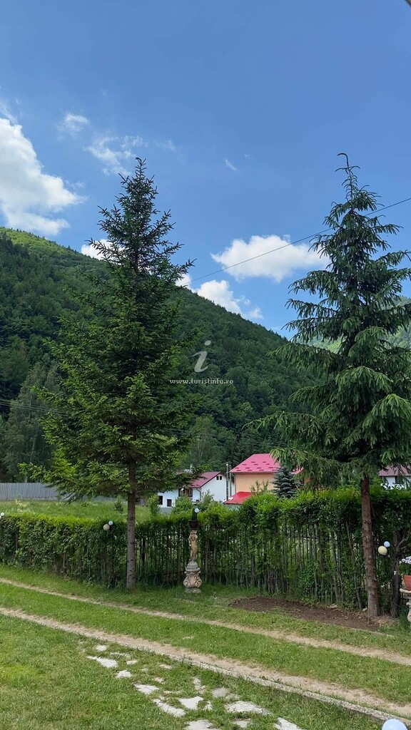 Căsuța de la Munte