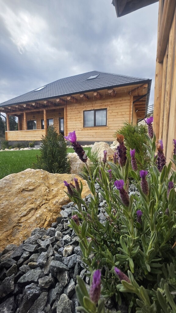 Vila Rucăr Chalet