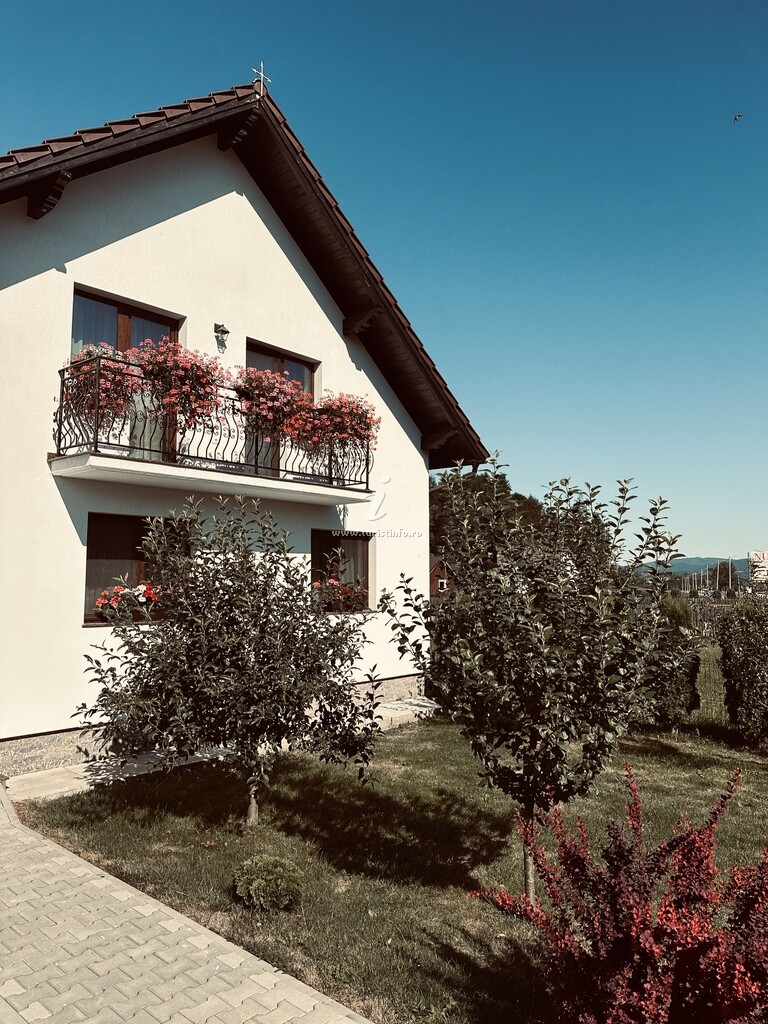 Casa Tică