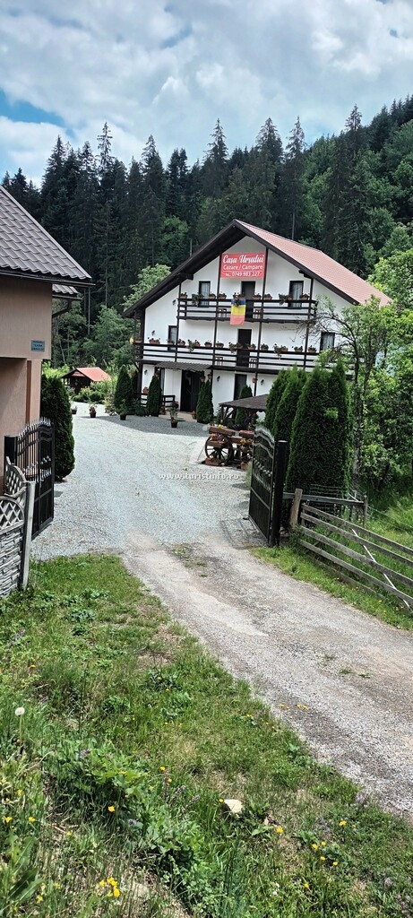 Casa Ursului