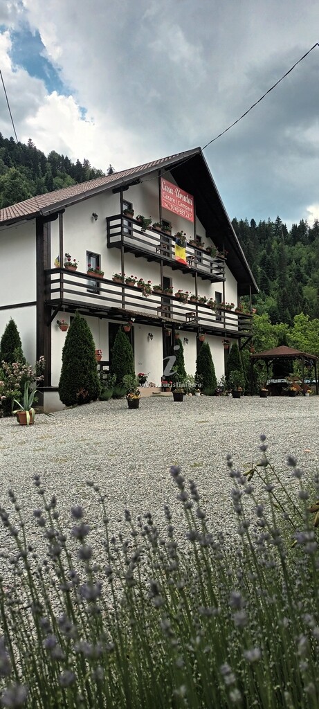 Casa Ursului