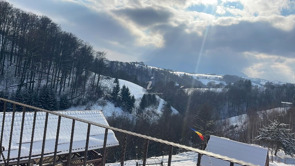 Pensiunea 7 Brazi