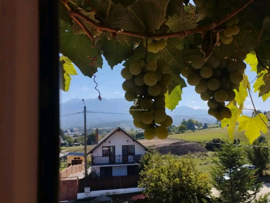 Vila Cărările Munților Zărnești
