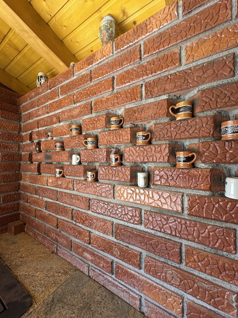 Casa Tică