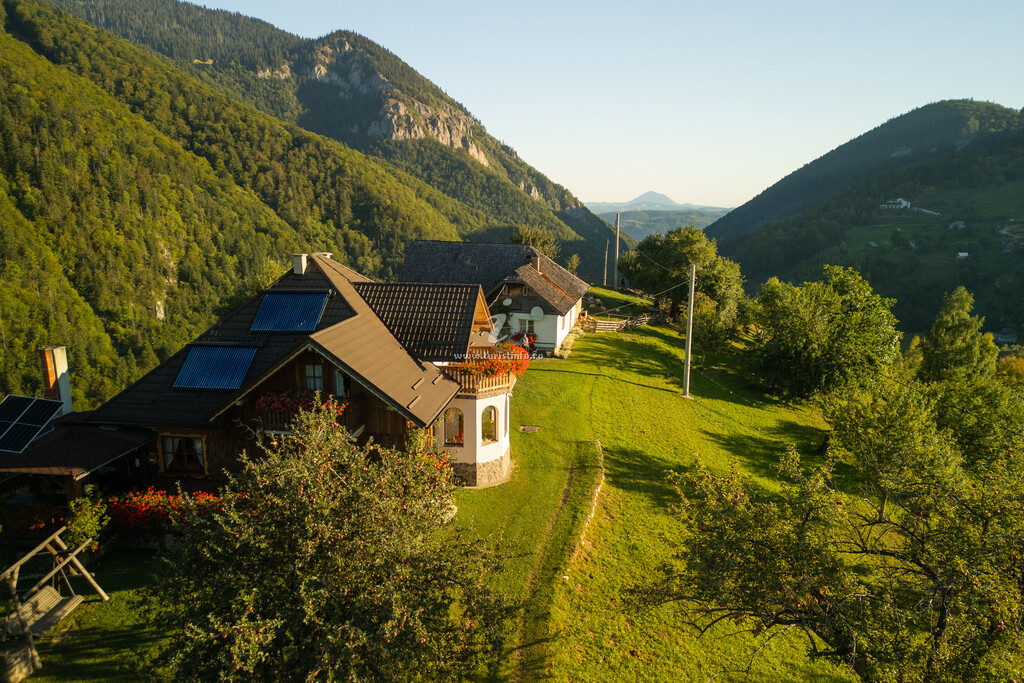 Cabana Muchia lui Gîrniță