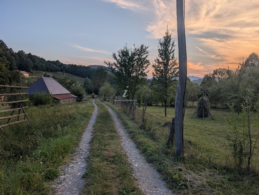 Căsuțe tip camping Oază de Liniște