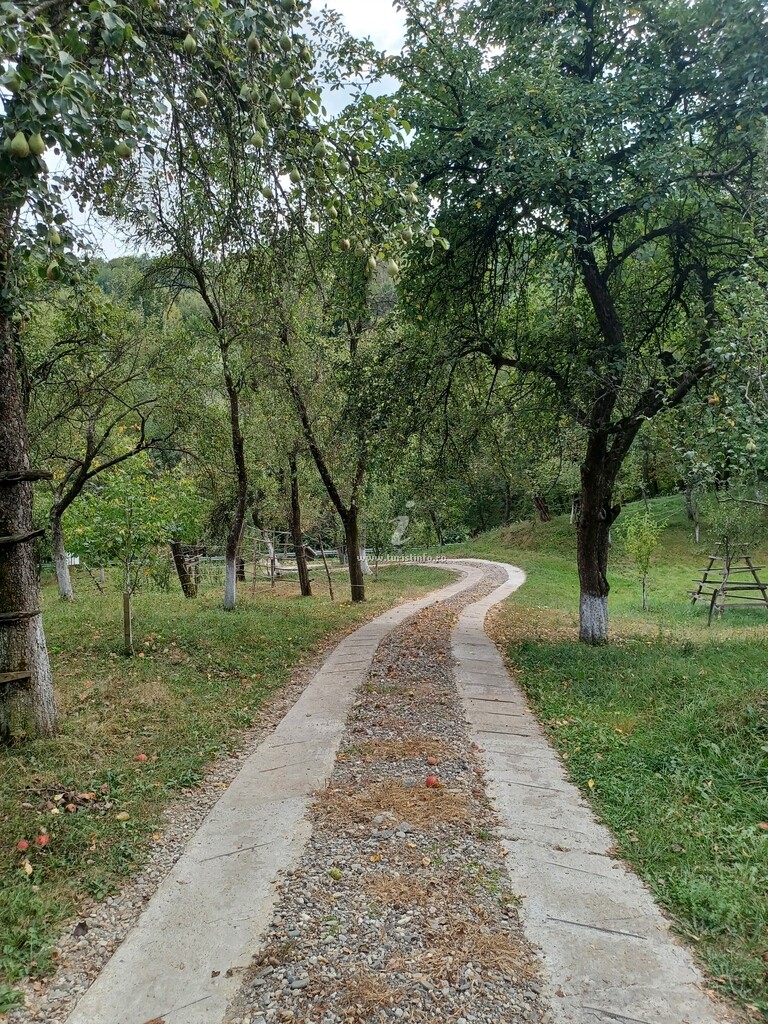 Camere de închiriat Mariana