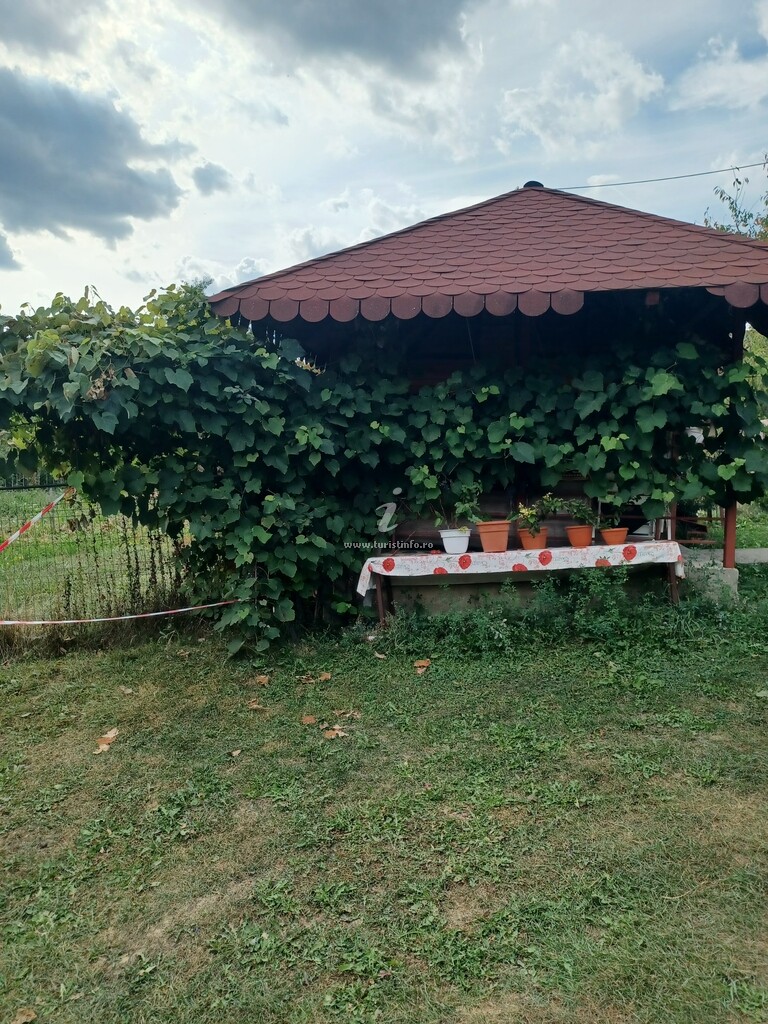 Camere de închiriat Mariana