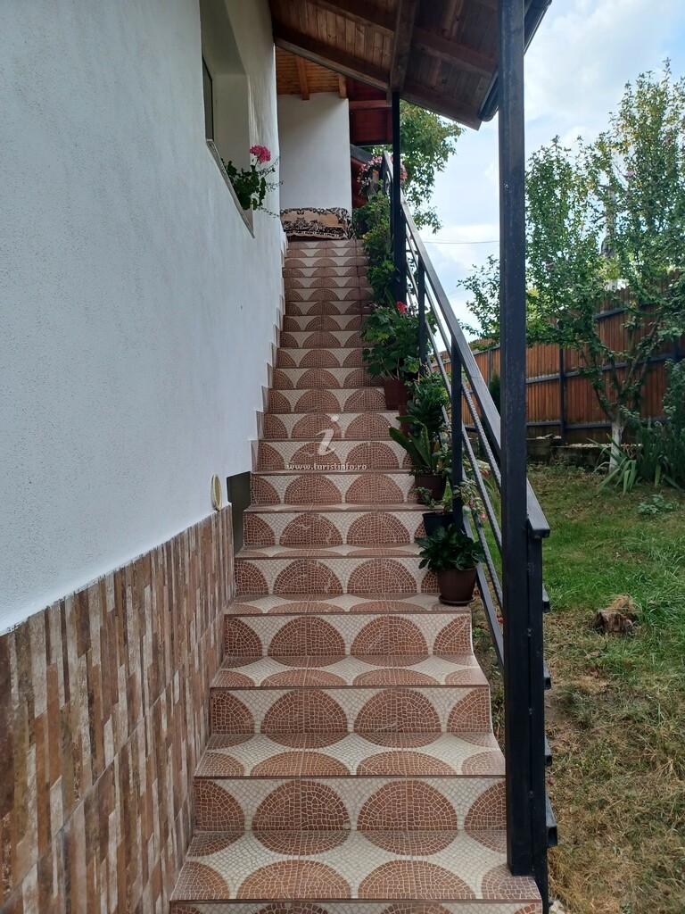 Camere de închiriat Mariana