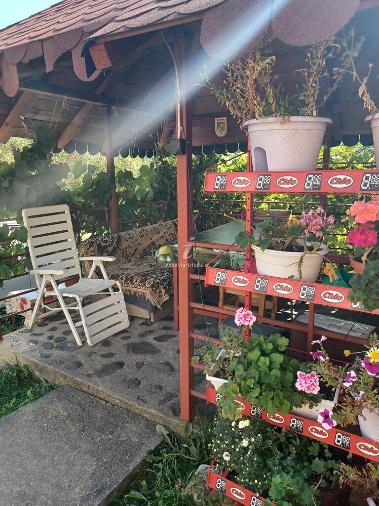 Camere de închiriat Mariana
