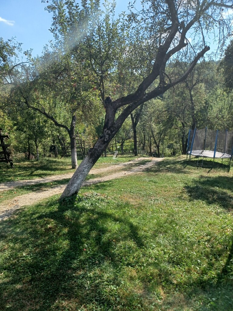 Camere de închiriat Mariana